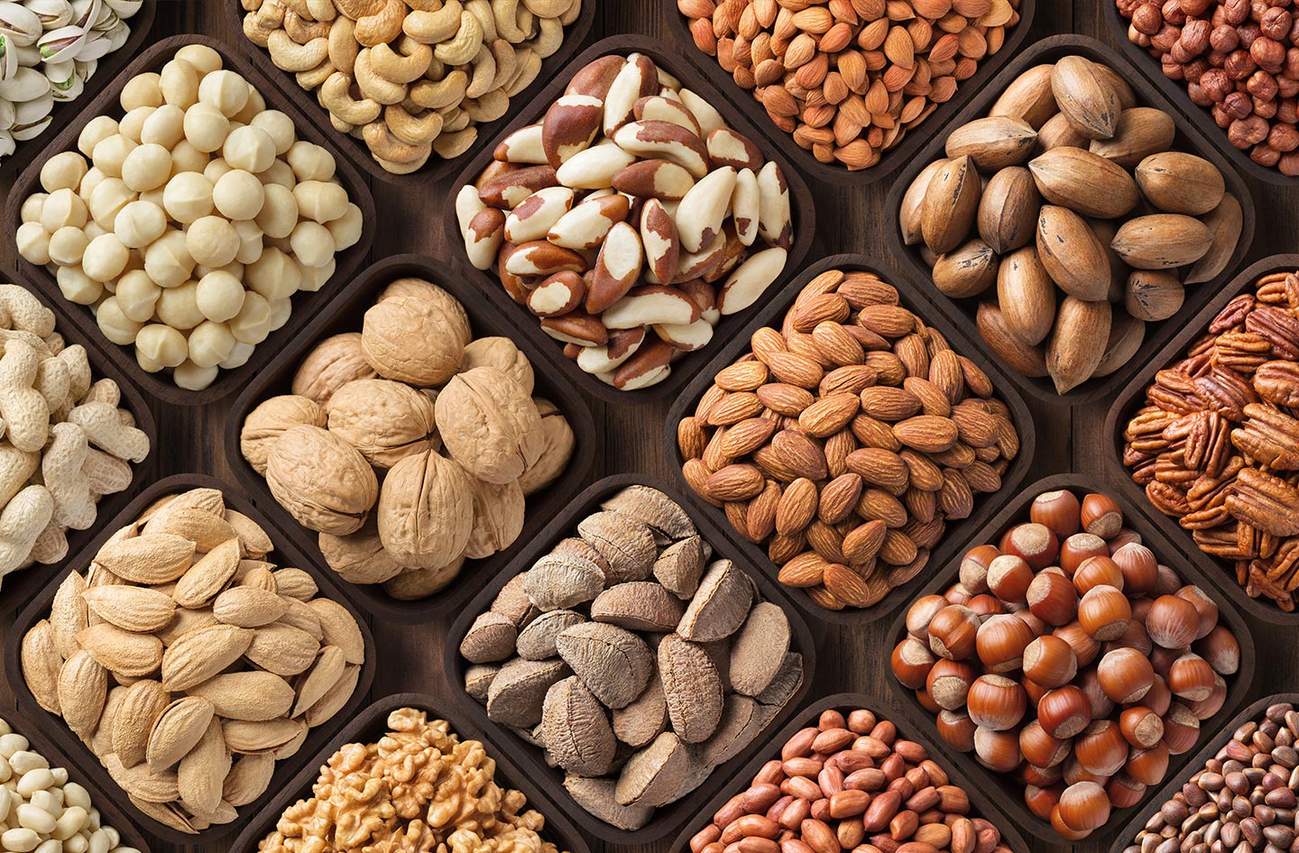 Nuts Log2Go Global Supplier to the Food Industry